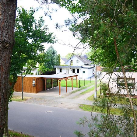 Haus Kleiner Findling Im Lausitzer Seenland Tatzschwitz Exterior foto