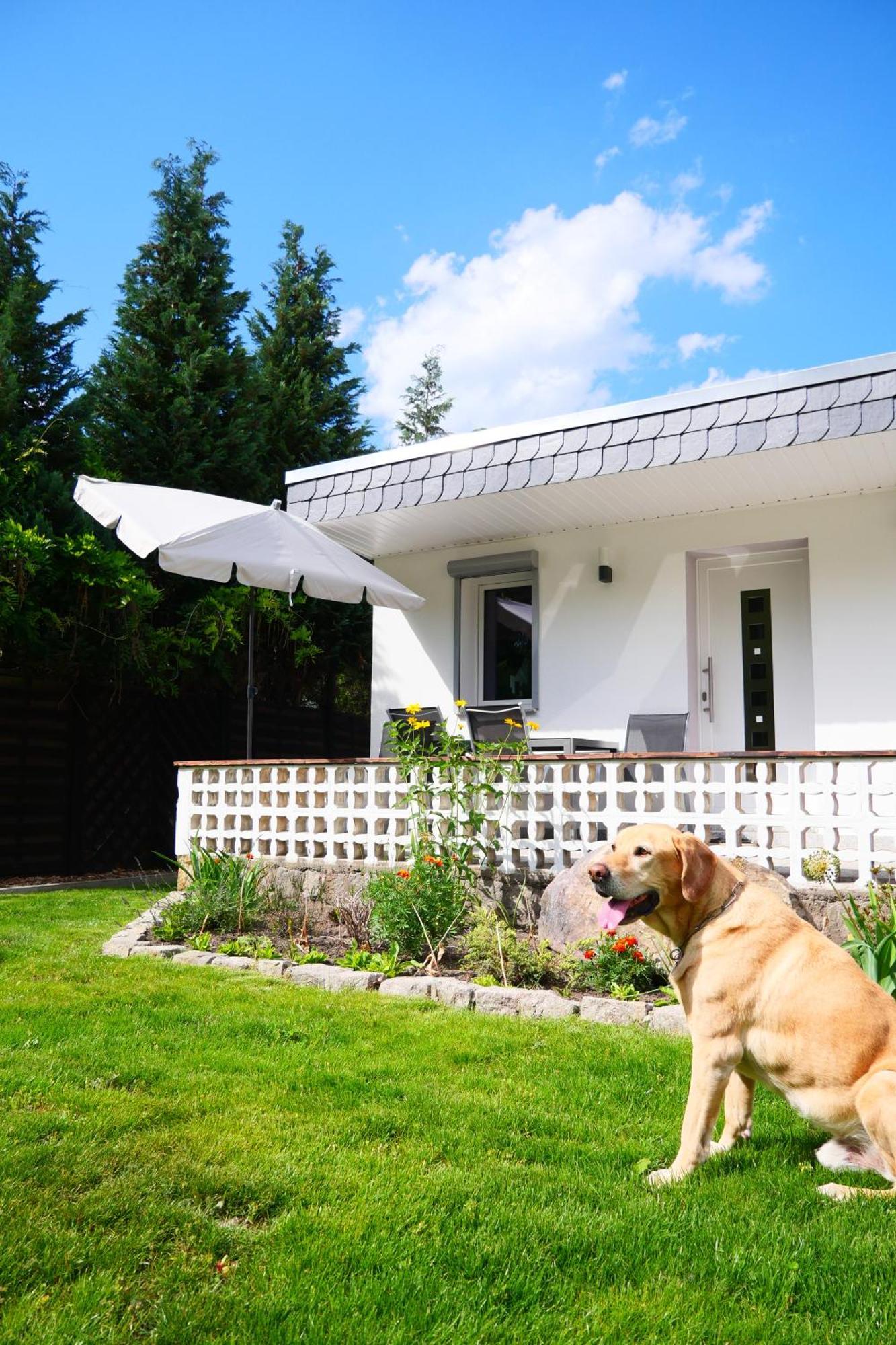 Haus Kleiner Findling Im Lausitzer Seenland Tatzschwitz Exterior foto